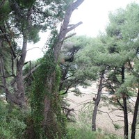 Таунхаус в Греции, Центральная Македония, Центр, 157 кв.м.