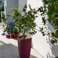 Apartment in Republic of Cyprus, Lemesou, 127 sq.m.