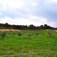 Land plot in Greece, Dode