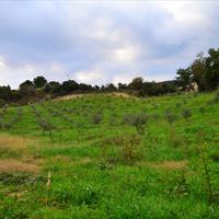 Land plot in Greece, Dode