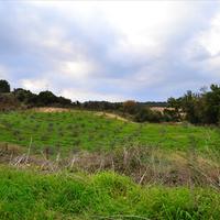 Land plot in Greece, Dode