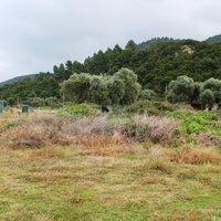 Земельный участок в Греции, Центральная Македония, Центр