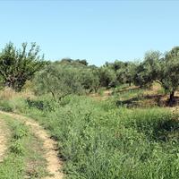 Земельный участок в Греции, Центральная Македония, Центр, 2500 кв.м.