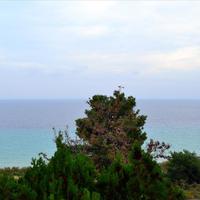 Бизнес-центр в Греции, Центральная Македония, Центр, 396 кв.м.