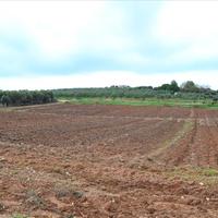 Land plot in Greece, Central Macedonia, Center