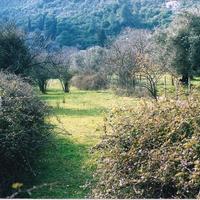 Земельный участок в Греции, Фессалия