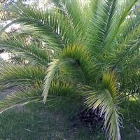 Другое в Греции, Центральная Македония, Центр, 60 кв.м.