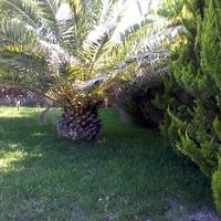 Другое в Греции, Центральная Македония, Центр, 60 кв.м.