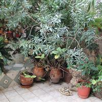 Квартира в Греции, Центральная Македония, Центр, 65 кв.м.