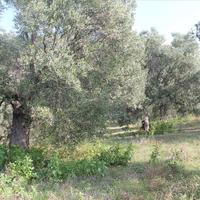 Земельный участок в Греции, Центральная Македония, Центр