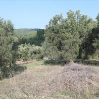 Земельный участок в Греции, Центральная Македония, Центр