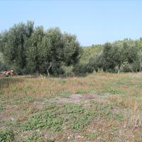 Земельный участок в Греции, Центральная Македония, Центр