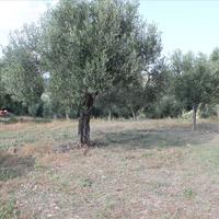 Земельный участок в Греции, Центральная Македония, Центр