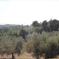 Other in Greece, Central Macedonia, Center, 97 sq.m.