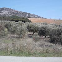 Земельный участок в Греции, Центральная Македония, Хал