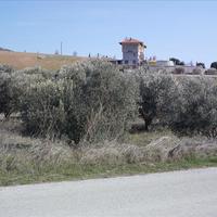 Земельный участок в Греции, Центральная Македония, Хал