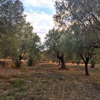 Земельный участок в Греции, Фамагуста