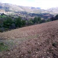 Land plot in Greece