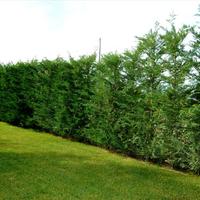 Вилла в Греции, Пелопоннес, Kori, 380 кв.м.