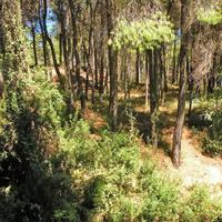 Villa in Greece, Attica, Athens, 420 sq.m.