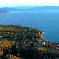 Land plot in Greece, Thessaly