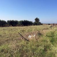 Land plot in Greece, Ammochostou, Famagusta