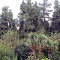 Другое в Греции, Центральная Македония, Центр, 126 кв.м.