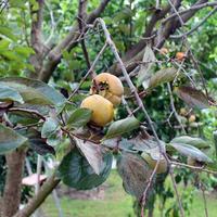 Другое в Греции, Центральная Македония, Центр, 126 кв.м.