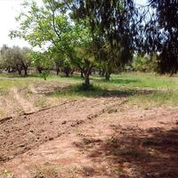 Земельный участок в Греции, Центральная Македония, Центр