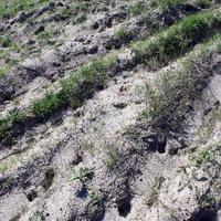 Land plot in Greece, Central Macedonia, Center