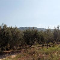 Land plot in Greece, Central Macedonia, Center