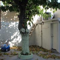 Land plot in Greece, Crete, Irakleion