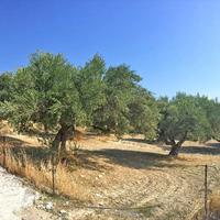 Land plot in Greece, Crete, Irakleion