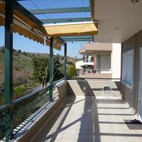 Other in Greece, Ionian Islands, 312 sq.m.