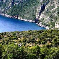 Land plot in Greece, Peloponnese