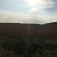 Land plot in Greece, Central Macedonia, Center