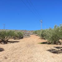 Land plot in Greece, Crete, Irakleion