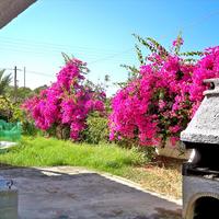 Other in Greece, Crete, Chania, 270 sq.m.