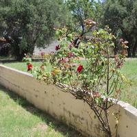 Таунхаус в Греции, Центральная Македония, Центр, 75 кв.м.