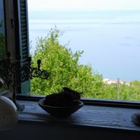 Other in Greece, Thessaly, 280 sq.m.