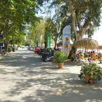 Other in Greece, Thessaly, 175 sq.m.