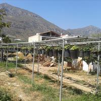 Другое в Греции, Пелопоннес, Kori, 99 кв.м.