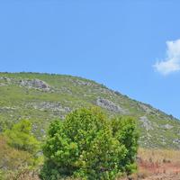 Квартира в Греции, Пелопоннес, Kori, 220 кв.м.