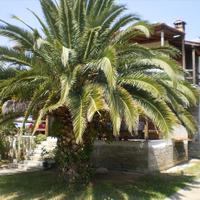 Other in Greece, Central Macedonia, Center, 240 sq.m.