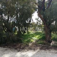 Земельный участок на Кипре, Протарас