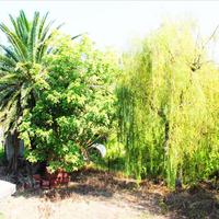 Land plot in Greece, Ionian Islands, 100 sq.m.