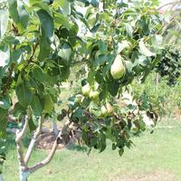 Villa in Greece, Central Macedonia, Center, 430 sq.m.