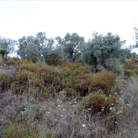 Land plot in Greece, Central Macedonia, Center