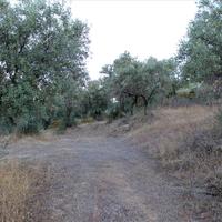 Land plot in Greece, Central Macedonia, Center