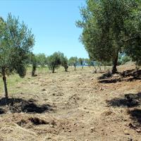 Land plot in Greece, Central Macedonia, Center